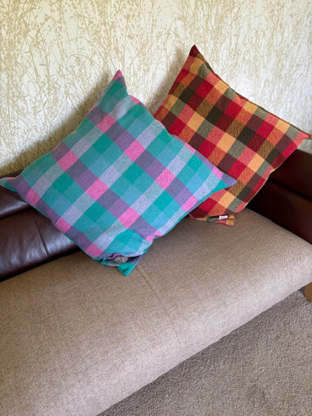 Check Cushions